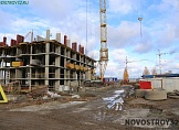 ноябрь 2024