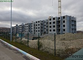 ноябрь 2024