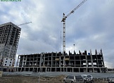 ноябрь 2024