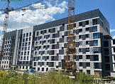 июль 2024