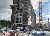 февраль 2024