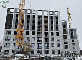 январь 2024