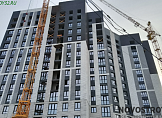 сентябрь 2024